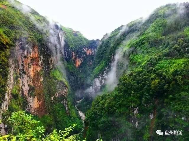 美妙森林找不同